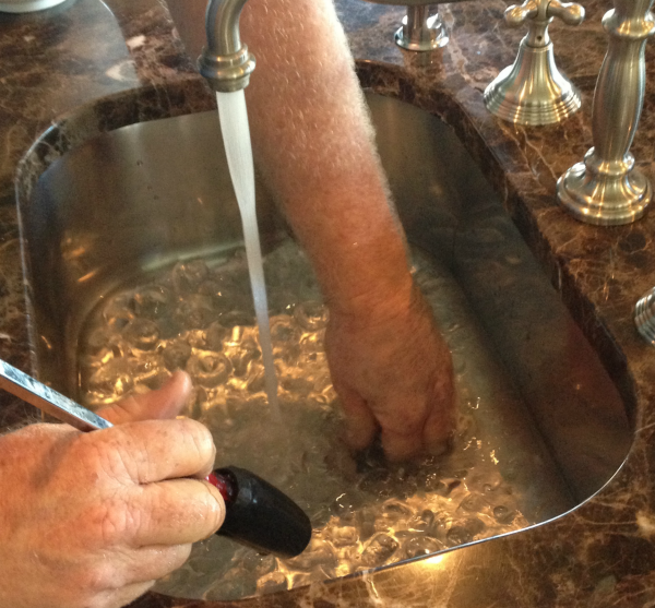 Professional Cleaning of Garbage Disposal Professional Cleaning of Garbage Disposal