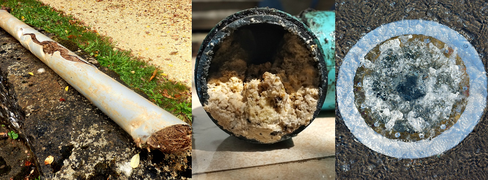 Expert Clogged Sewer Line Repair